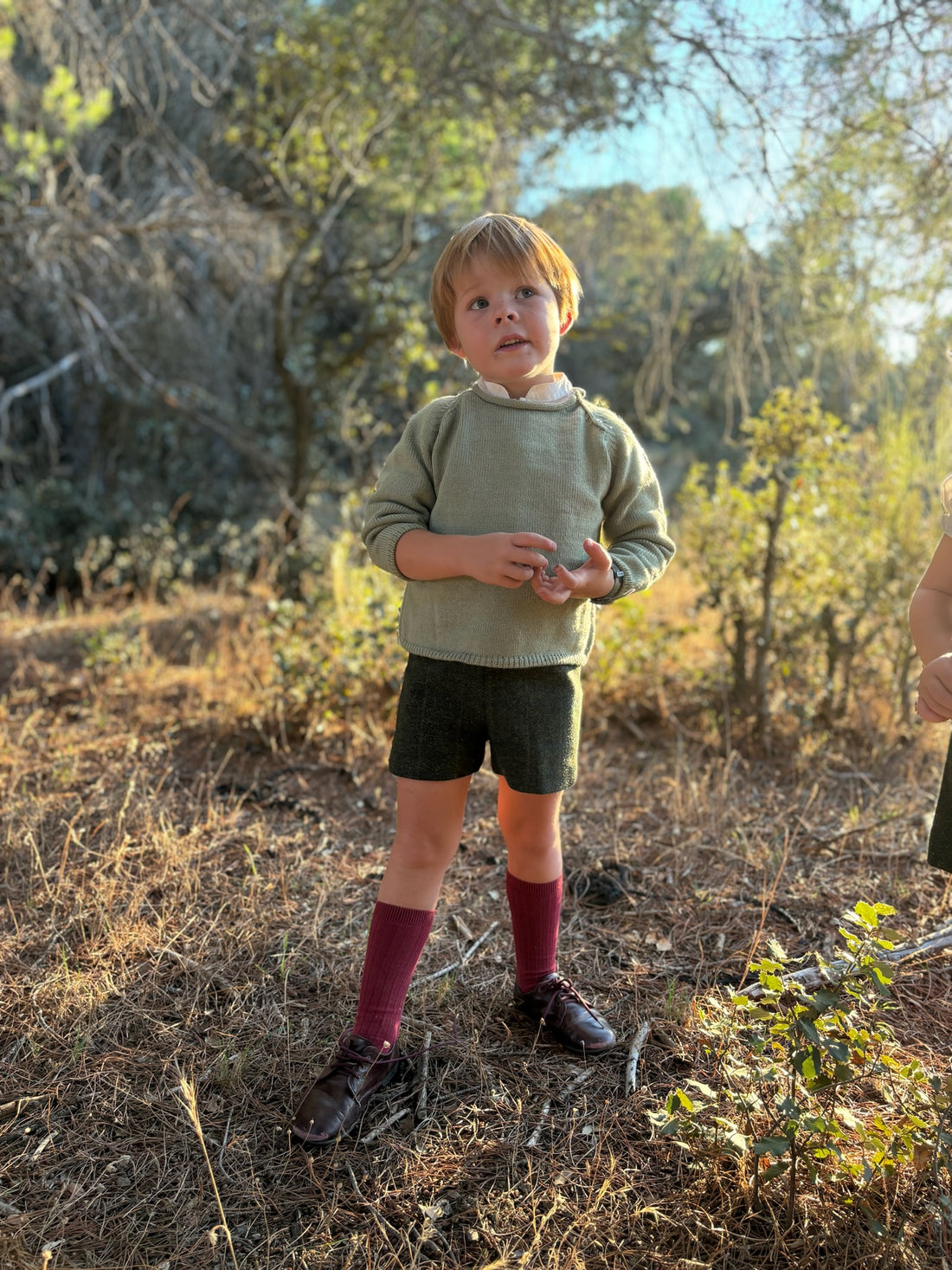 Pantalón corto espiga lana verde