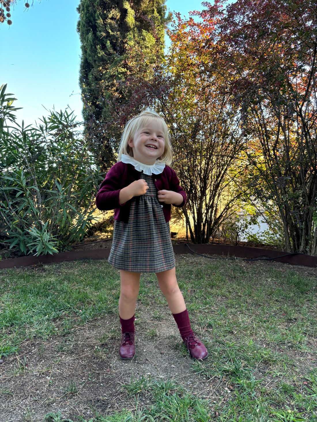 Pichi cuadro Gales marrón