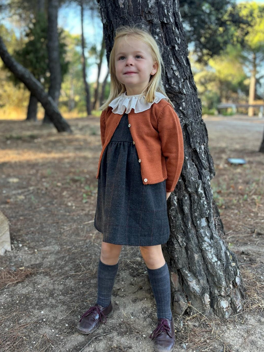 Pichi lana carbón teja