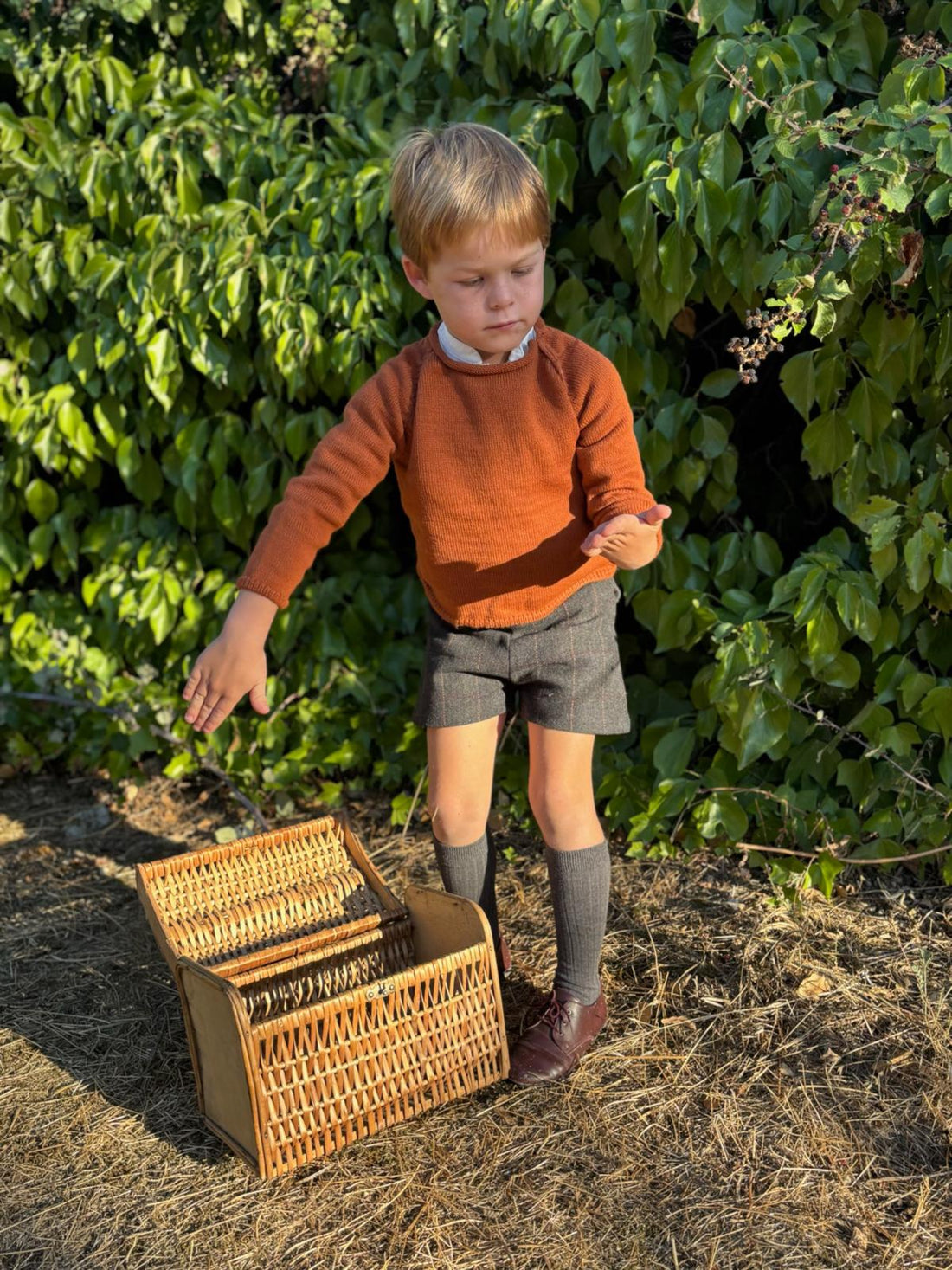 Pantalón corto lana carbón teja